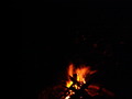 muty-z3-PICT5065.JPG
