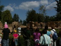 muty-z3-PICT5107.JPG
