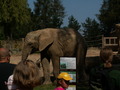 muty-z3-PICT5108.JPG
