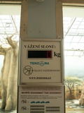 muty-z3-PICT5137.JPG
