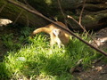 muty-z3-PICT5142.JPG

