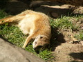 muty-z3-PICT5143.JPG
