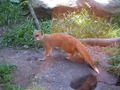 muty-z3-PICT5144.JPG
