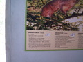 muty-z3-PICT5146.JPG
