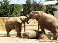 muty-z3-PICT5157.JPG
