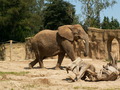 muty-z3-PICT5165.JPG
