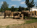 muty-z3-PICT5169.JPG
