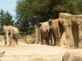 muty-z3-PICT5184.JPG
