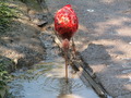 muty-z3-PICT5227.JPG
