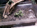muty-z3-PICT5249.JPG
