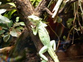 muty-z3-PICT5251.JPG
