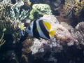 muty-z3-PICT5253.JPG
