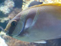 muty-z3-PICT5256.JPG
