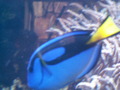 muty-z3-PICT5259.JPG
