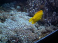 muty-z3-PICT5260.JPG
