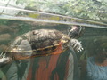 muty-z3-PICT5262.JPG
