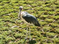 muty-z3-PICT5268.JPG
