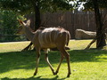 muty-z3-PICT5274.JPG
