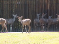 muty-z3-PICT5278.JPG
