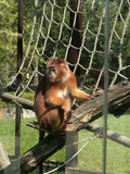 muty-z3-PICT5290.JPG
