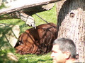 muty-z3-PICT5309.JPG
