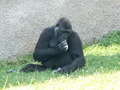 muty-z3-PICT5313.JPG
