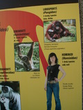 muty-z3-PICT5323.JPG
