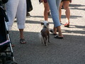 muty-z3-PICT5334.JPG
