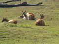 muty-z3-PICT5338.JPG
