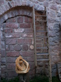 muty-z3-PICT5559.JPG
