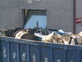 muty-z3-PICT5579.JPG
