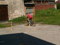 muty-z3-PICT5631.JPG
