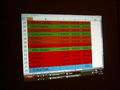 muty-z3-PICT5836.JPG
