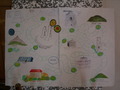 muty-z3-PICT5863.JPG
