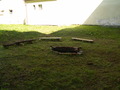 muty-z3-PICT5887.JPG
