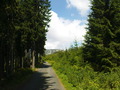 petrv-DSC01835.JPG
