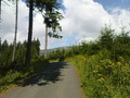 petrv-DSC01838.JPG
