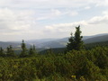 petrv-DSC01839.JPG
